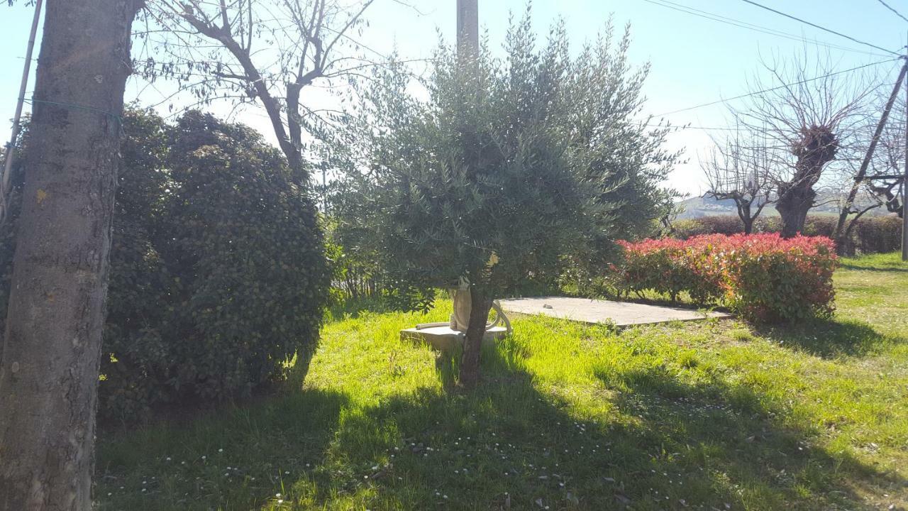 Casa Selene Rocchi Villa Savignano sul Panaro Exterior photo